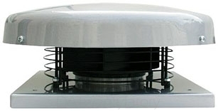 Large_1_c5e8754ad88c